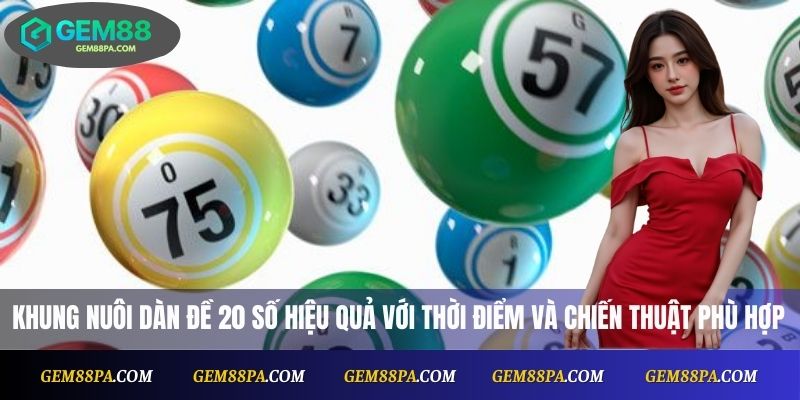 Khung nuôi dàn đề 20 số hiệu quả với thời điểm và chiến thuật phù hợp