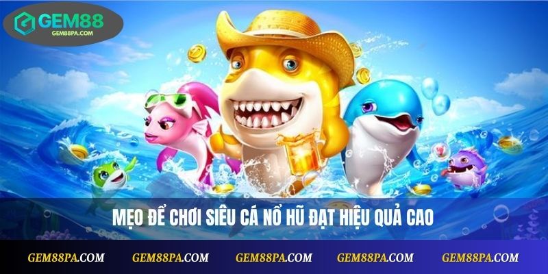 Mẹo để chơi Siêu Cá Nổ Hũ đạt hiệu quả cao